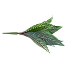 Artificial 10-Fork Calathea Makoyana Leaf Plants Silk Foliage Grass Green