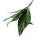 Artificial 10-Fork Calathea Makoyana Leaf Plants Silk Foliage Grass Green