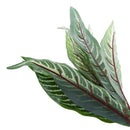 Artificial 10-Fork Calathea Makoyana Leaf Plants Silk Foliage Grass Green