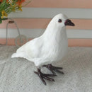 Artificial Bird White Standing Pigeon Realistic Imitation Fur Taxidermy