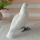 Artificial Bird White Standing Pigeon Realistic Imitation Fur Taxidermy