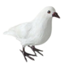 Artificial Bird White Standing Pigeon Realistic Imitation Fur Taxidermy
