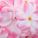 Artificial Flannel Plumeria Rubra Flower Craft Heads Home Wedding Party Table Centerpiece Decor Pack of 30PCS Pink