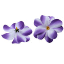 Artificial Flannel Plumeria Rubra Flower Craft Heads Home Wedding Party Table Centerpiece Decor Pack of 30PCS Purple