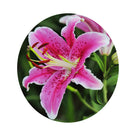 Non-Sticky Durable 3D Flower Silicone Cake Salad Chocolate Mold Fondant Mould Decorating Baking Tool Big Petal Pattern Charms