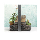 Courtyard Sedum Planter Window Box Trough Pot Succulent Herb Flower Bed DIY