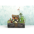 Courtyard Sedum Planter Window Box Trough Pot Succulent Herb Flower Bed DIY