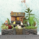 Courtyard Sedum Planter Window Box Trough Pot Succulent Herb Flower Bed DIY