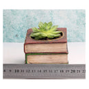 Retro Book Sedum Planter Window Box Trough Pot Succulent Herb Flower Bed DIY
