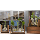 Home Bedroom Balcony Wedding Floral Display Modern Glass Tabletop Plant Bonsai Decorative Flower Vase With Wooden Tray 1