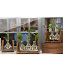Home Bedroom Balcony Wedding Floral Display Modern Glass Tabletop Plant Bonsai Decorative Flower Vase With Wooden Tray 2