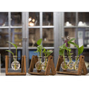 Home Bedroom Balcony Wedding Floral Display Modern Glass Tabletop Plant Bonsai Decorative Flower Vase With Wooden Tray 3