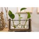 Home Bedroom Balcony Wedding Floral Display Modern Glass Tabletop Plant Bonsai Decorative Flower Vase With Wooden Tray 3