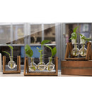 Home Bedroom Balcony Wedding Floral Display Modern Glass Tabletop Plant Bonsai Decorative Flower Vase With Wooden Tray 3
