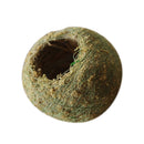 Unique Weave Preserved Moss Ball Flower Pot Planter Bonsai Plant Holder