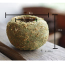 Unique Weave Preserved Moss Ball Flower Pot Planter Bonsai Plant Holder