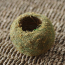 Unique Weave Preserved Moss Ball Flower Pot Planter Bonsai Plant Holder