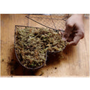 Iron Hanging Wreath Cacti Succulent Herb Flower Planter Plant Basket