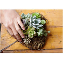 Iron Hanging Wreath Cacti Succulent Herb Flower Planter Plant Basket