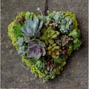Iron Hanging Wreath Cacti Succulent Herb Flower Planter Plant Basket