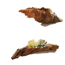 Creative Wood Root PLANTER Bucket Box Flower Planter Home Outdoor Decor