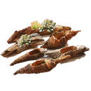 Creative Wood Root PLANTER Bucket Box Flower Planter Home Outdoor Decor