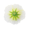 Artificial Rose Silk Flower Heads Home Wedding Garden DIY Scrapbooking Craft Projects Decor Ivory Pack of 50PCS