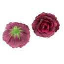 Artificial Rose Silk Flower Heads Home Wedding Garden DIY Scrapbooking Craft Projects Decor Flowers Pack of 50PCS Fuchsia