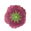 Artificial Rose Silk Flower Heads Home Wedding Garden DIY Scrapbooking Craft Projects Decor Flowers Pack of 50PCS Fuchsia