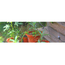 Micro Spray Drip Irrigation Plant Self Watering Garden Hose Kit for Balcony Cooling Watering Greenhouse