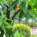 Micro Spray Drip Irrigation Plant Self Watering Garden Hose Kit for Balcony Cooling Watering Greenhouse