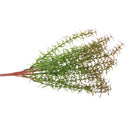 Artificial Leaf Grass Foliage Plastic Plant Home Bedroom Garden Wedding Floral Decor Table Centerpiece DIY Plants 45cm Red Green