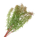 Artificial Leaf Grass Foliage Plastic Plant Home Bedroom Garden Wedding Floral Decor Table Centerpiece DIY Plants 45cm Red Green