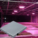 225LED 15W Plant Flower Herbs Grow Light for Indoor Hydroponic Full Spectrum Multicolor Light