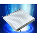 225LED 15W Plant Flower Herbs Grow Light for Indoor Hydroponic Full Spectrum Light Red Blue