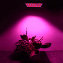 225LED 15W Plant Flower Herbs Grow Light for Indoor Hydroponic Full Spectrum Light Red Blue