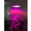 225LED 15W Plant Flower Herbs Grow Light for Indoor Hydroponic Full Spectrum Light Red Blue