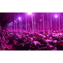 Gardening LED Grow Light Energy Saving Full Spectrum For Indoor Plants Vegetable Flower Growth 80W