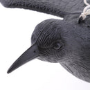 Realistic Decoy Pest Control Garden Scarer Scarecrow Flying Crow