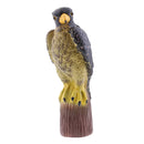 Realistic Decoy Pest Control Garden Scarer Scarecrow Falcon