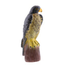 Realistic Decoy Pest Control Garden Scarer Scarecrow Falcon