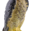 Realistic Decoy Pest Control Garden Scarer Scarecrow Falcon