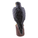 Realistic Decoy Pest Control Garden Scarer Scarecrow Falcon