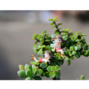 4 Piece Micro Landscape Mini Resin Bonsai Fairy DIY Garden Decor Flying Girl
