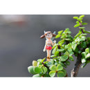 4 Piece Micro Landscape Mini Resin Bonsai Fairy DIY Garden Decor Flying Girl
