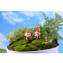 5 Piece Micro Landscape Mini Resin Bonsai Fairy DIY Garden Decor Santa's Hug