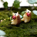 10 Piece Micro Landscape Resin Bonsai Fairy Garden Decor Mushroom Hedgehog