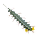 Artificial Cactus Succulent Plants Miniascape Bonsai Potted Decorative