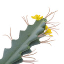 Artificial Cactus Succulent Plants Miniascape Bonsai Potted Decorative