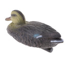 Plastic Mallard Duck Decoy Floating Drake Duck Decoy for Hunting &Fishing